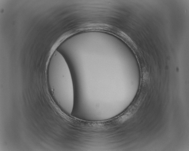 X0000069381370200605120907