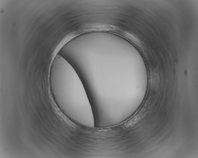 X0000069381378200605120907