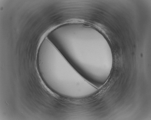 X0000069381379200605120907