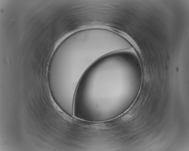 X0000069381388200605120906