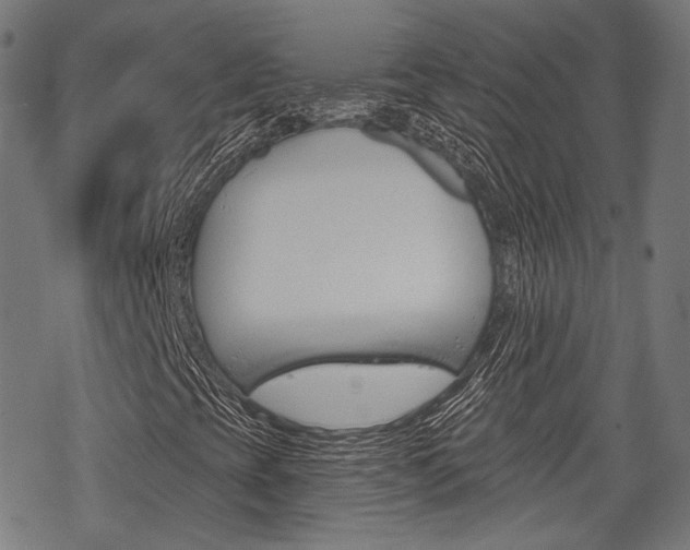 X0000069381393200605120906