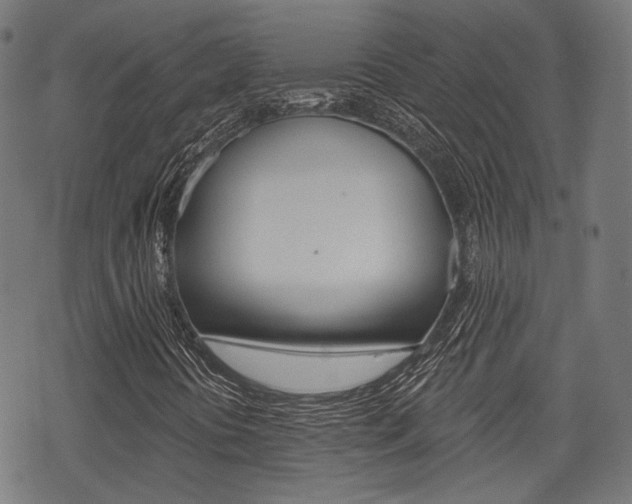 X0000069381394200605120906