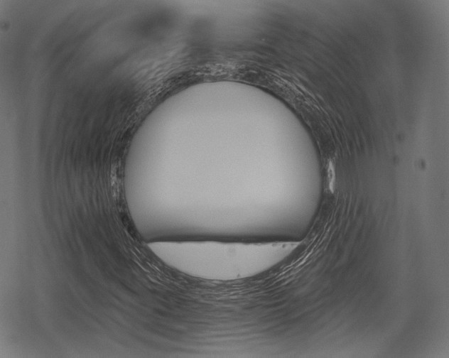 X0000069381395200605120906
