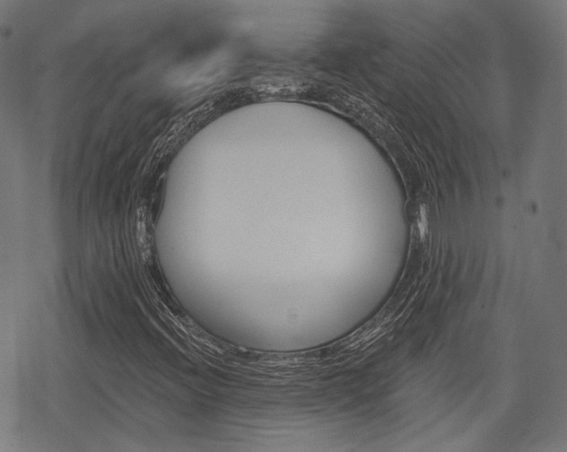 X0000069381396200605120906