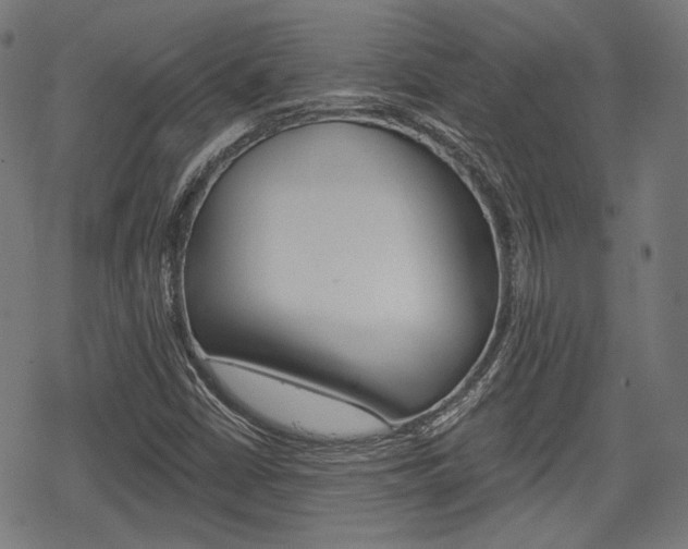 X0000069381402200605120906