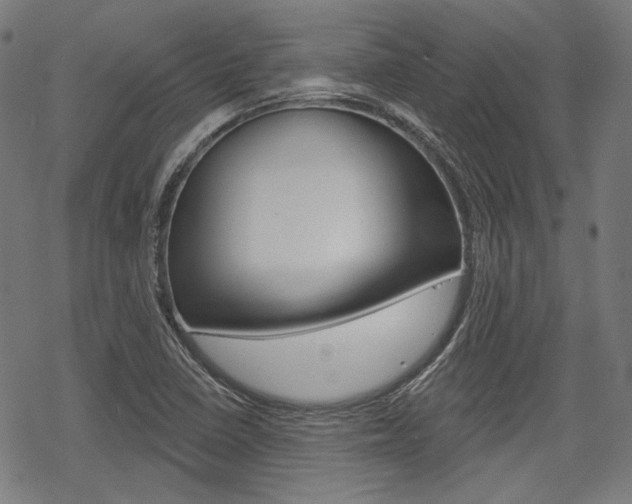 X0000069381410200605120906