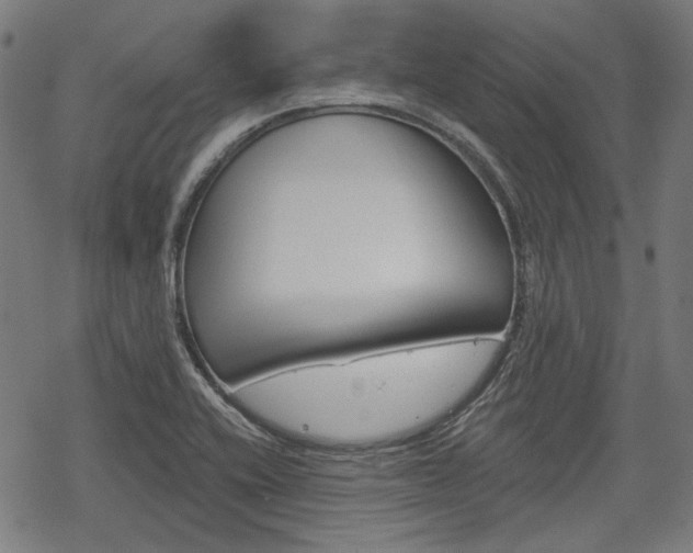 X0000069381416200605120906