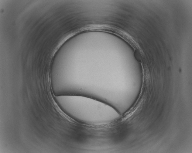 X0000069381417200605120906