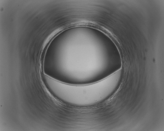 X0000069381418200605120906