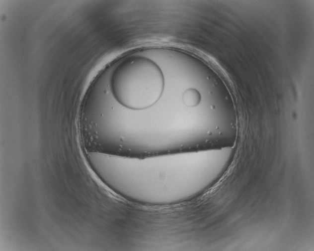 X0000069381432200605120906