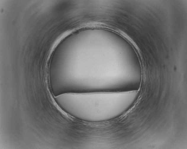 X0000069381437200605120906