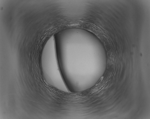 X0000069381441200605120906