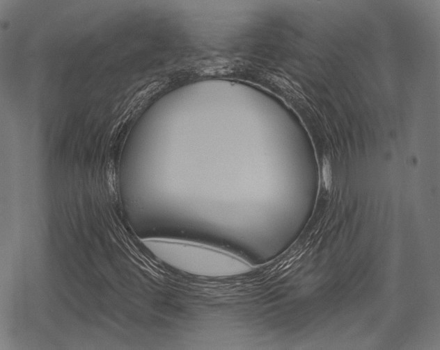 X0000069381444200605120905