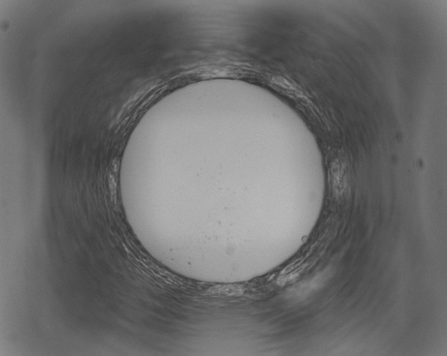 X0000069381446200605120905