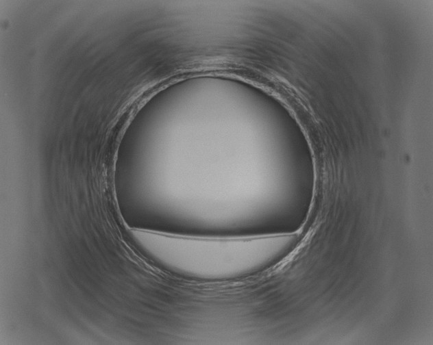 X0000069381449200605120905