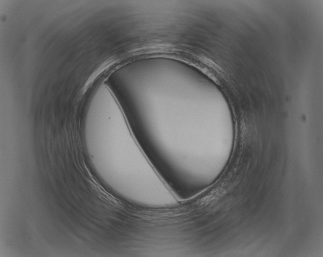 X0000069381450200605120905