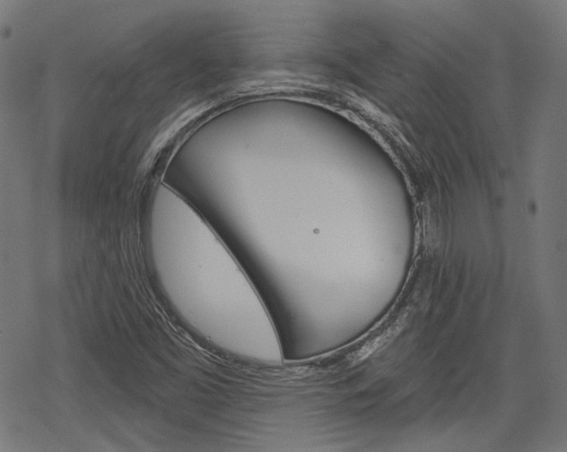 X0000069381453200605120905