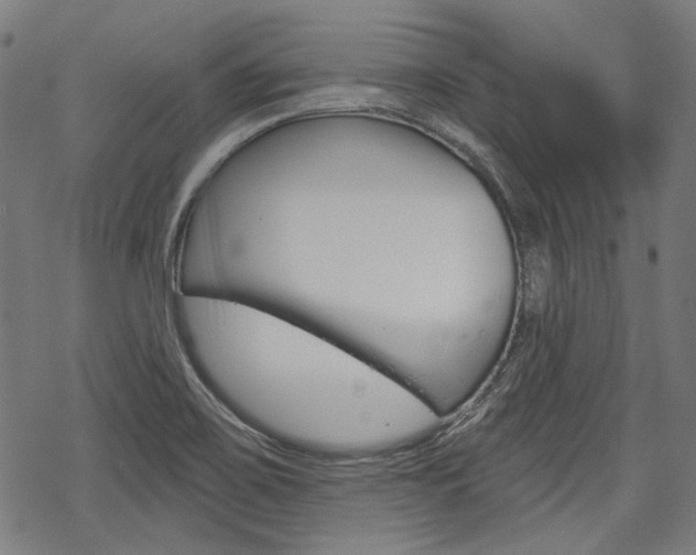 X0000069381467200605120905