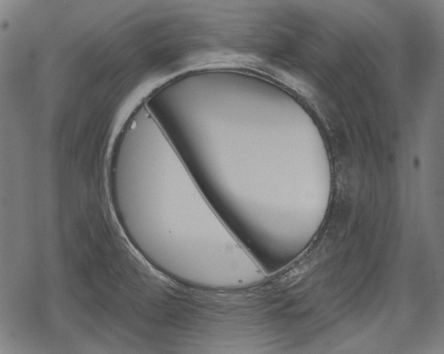 X0000069381472200605120905