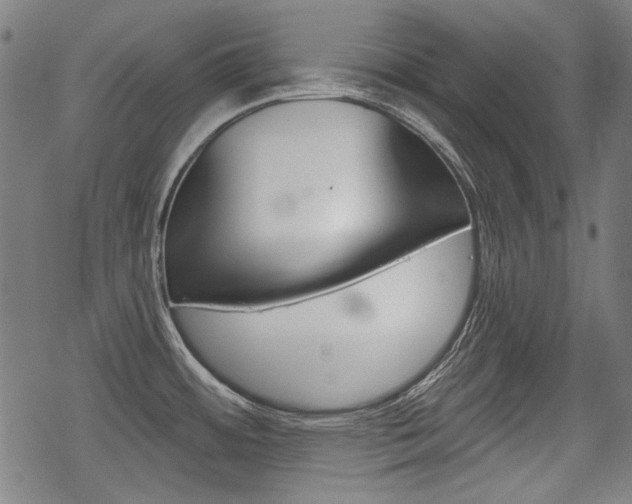 X0000069381484200605120905