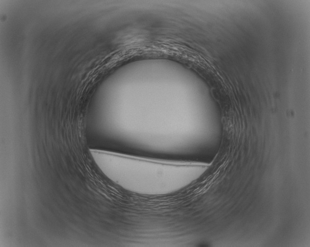 X0000069381490200605120904