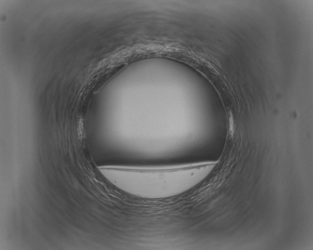 X0000069381492200605120904