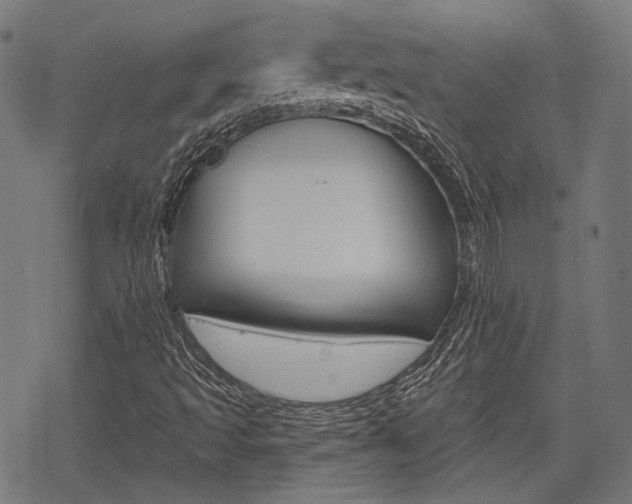 X0000069381493200605120904
