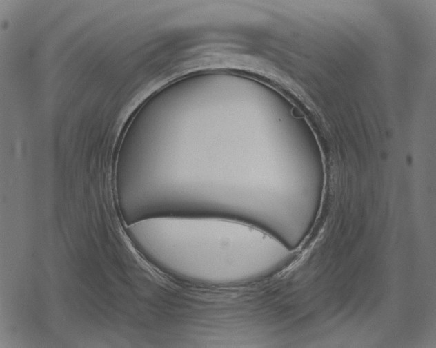 X0000069381513200605120904