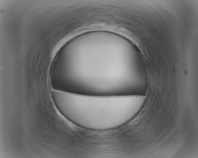 X0000069381527200605120905