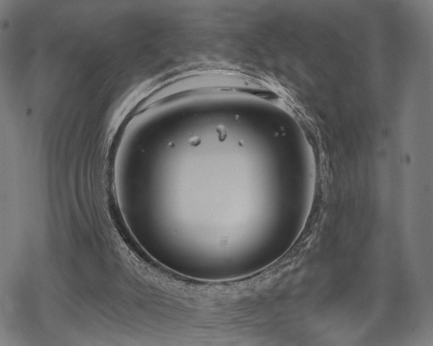 X0000069380007200605121157