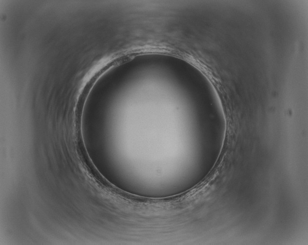 X0000069380008200605121157