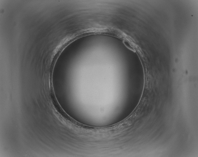 X0000069380011200605121157