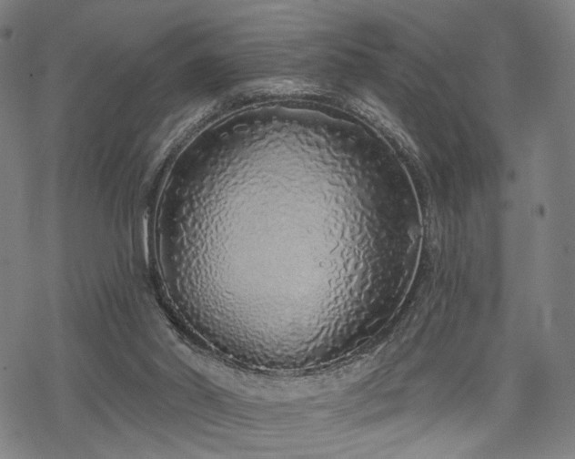 X0000069380014200605121157