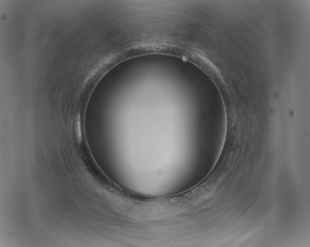 X0000069380020200605121157