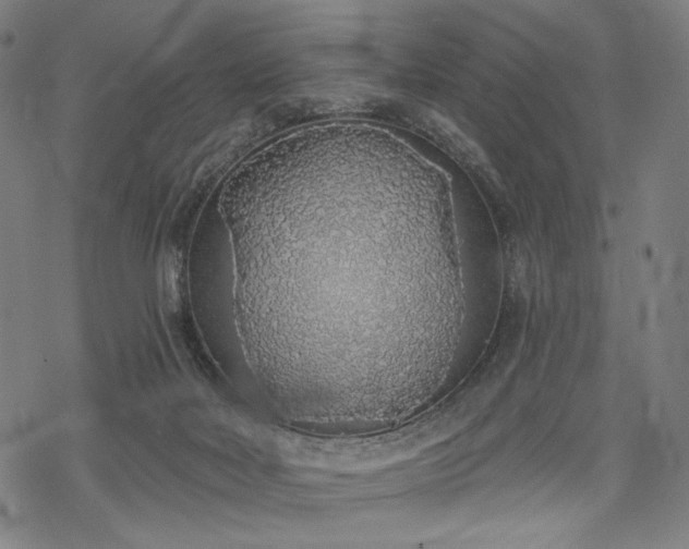 X0000069380026200605121157