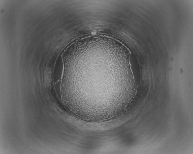 X0000069380030200605121157