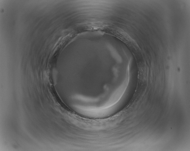 X0000069380035200605121157