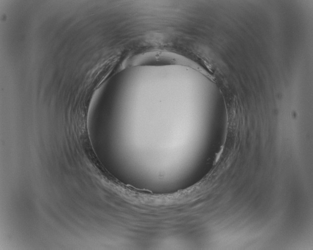 X0000069380043200605121157