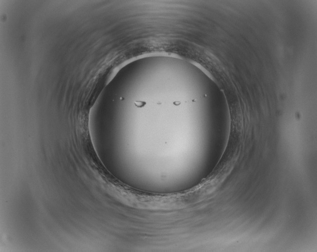 X0000069380044200605121157