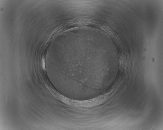 X0000069380046200605121157