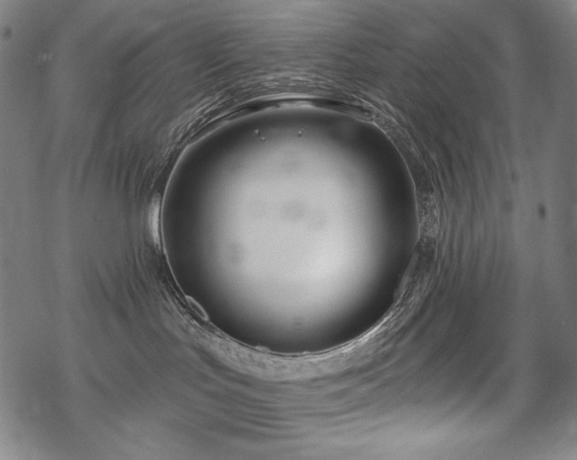 X0000069380047200605121157