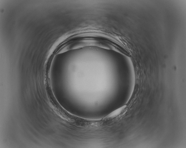 X0000069380056200605121156