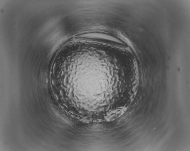 X0000069380059200605121156