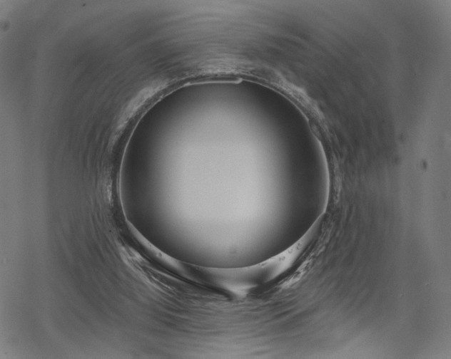 X0000069380060200605121156