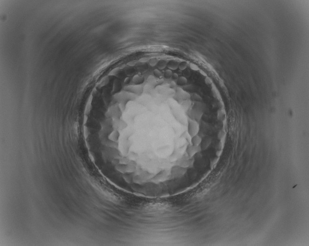 X0000069380063200605121156
