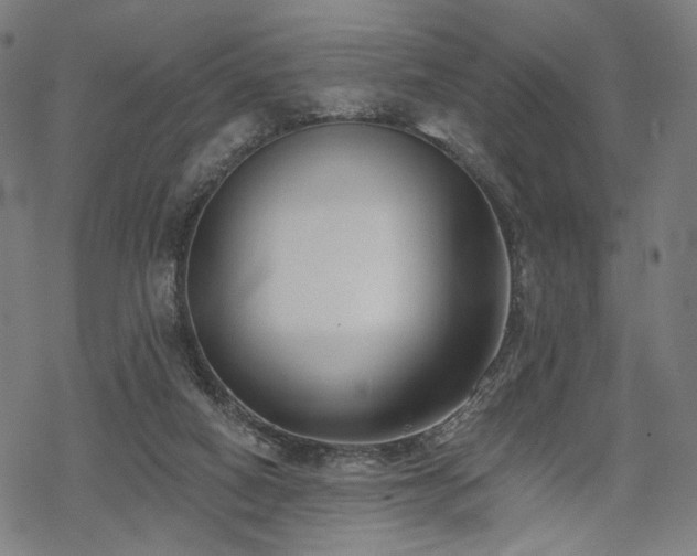 X0000069380066200605121156