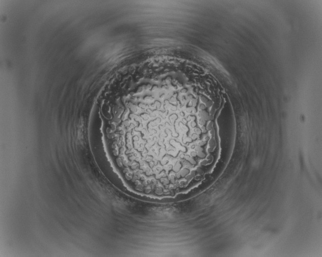 X0000069380073200605121156