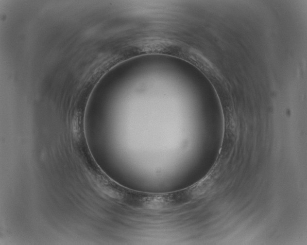 X0000069380074200605121156