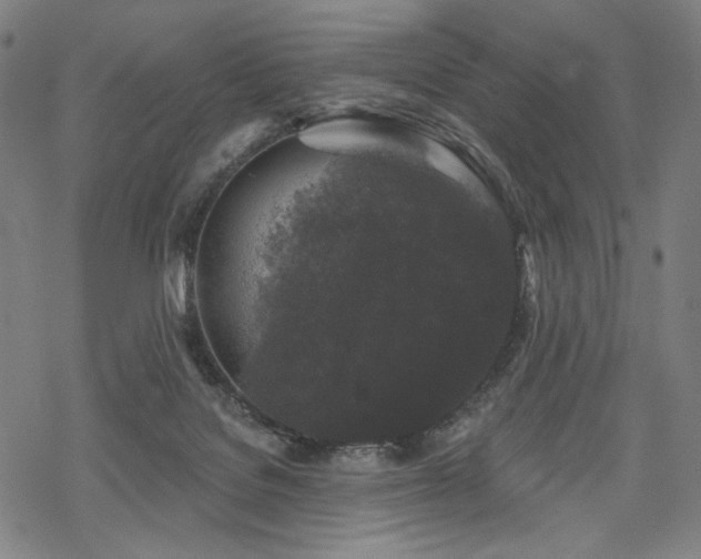 X0000069380076200605121156