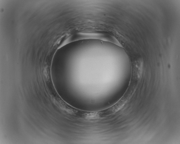 X0000069380088200605121156